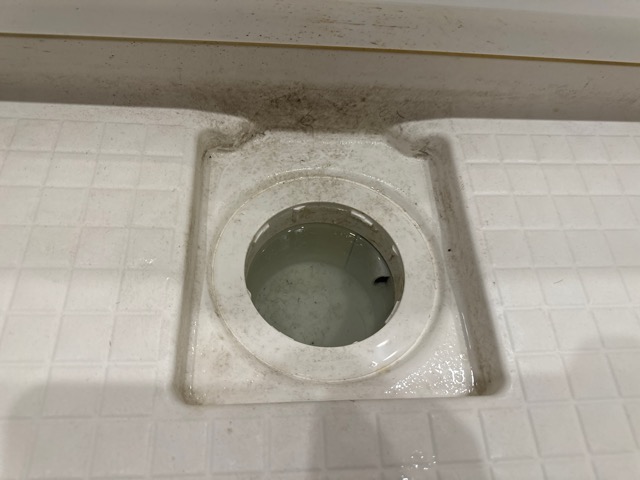 【江東区】浴槽排水不良を直してきました！