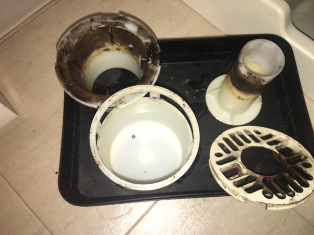 【浦安市】洗濯のトラップ清掃を行ってきました！