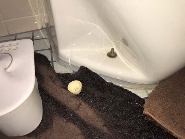 【江戸川区】小便器の水漏れと詰まりを解消してきました！