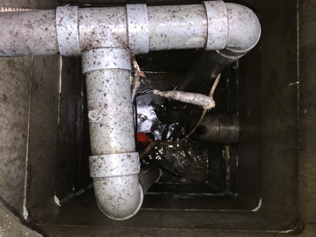 【江戸川区】戸建ての屋外桝の水抜き作業を行ってきました！