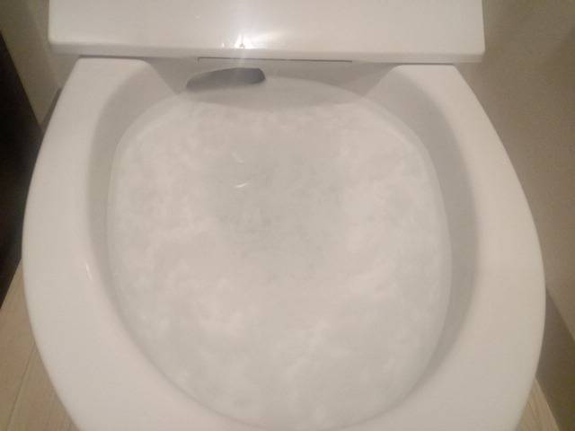 【江東区】店舗のトイレ詰まりをトーラーで解消してきました！