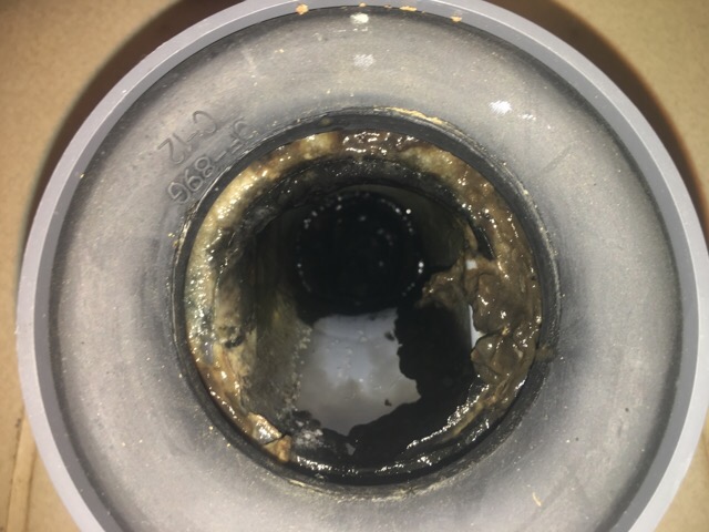 【墨田区】マンションの大便器の排水管を洗浄してきました！