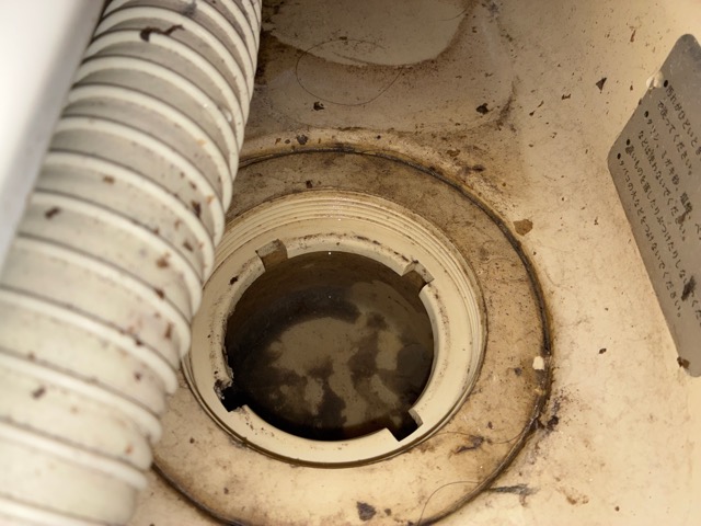 【足立区】マンションの洗濯排水の異臭を解消してきました！