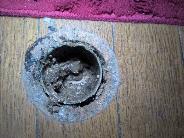 【江東区】マンションのシンク詰まりをトーラーで解消してきました！