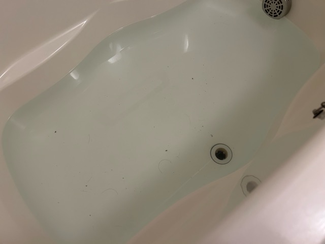 【江東区】マンションの浴槽の詰まりをトーラーで解消してきました！