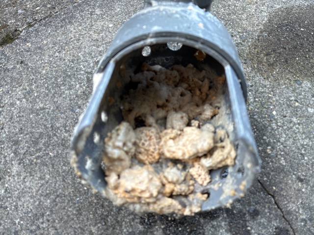 【江東区】シンクの油詰まりを高圧洗浄で解消してきました！