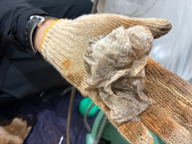 【墨田区】マンションのトイレ詰まりをトーラー作業で解消してきました！