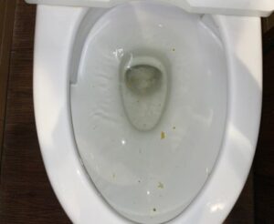 トイレが詰まって流れない！墨田区の店舗で高圧洗浄によるつまり修理