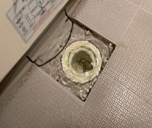 お風呂の排水が流れない！浦安市マンションのつまりをトーラーで解消