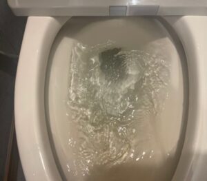 【浦安市】店舗トイレつまり排水管内のガラ・土砂を除去！